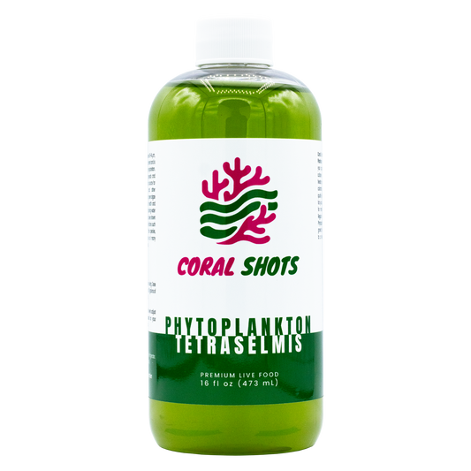 Tetraselmis Live Phytoplankton - Coral Shots