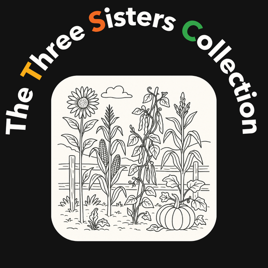 The Three Sisters Collection