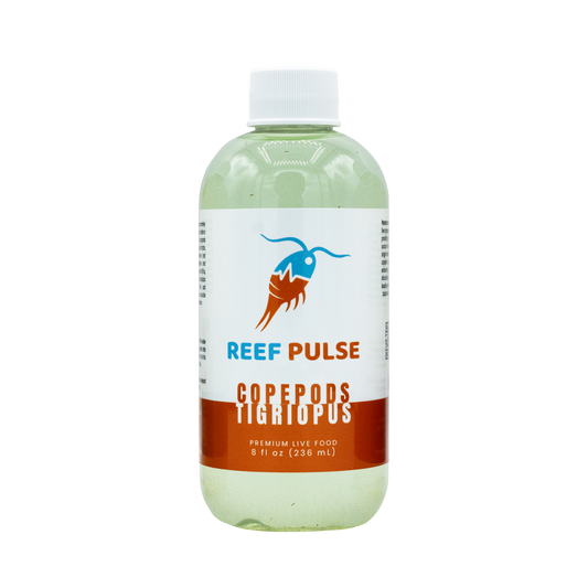 Tigriopus Live Copepods - Reef Pulse