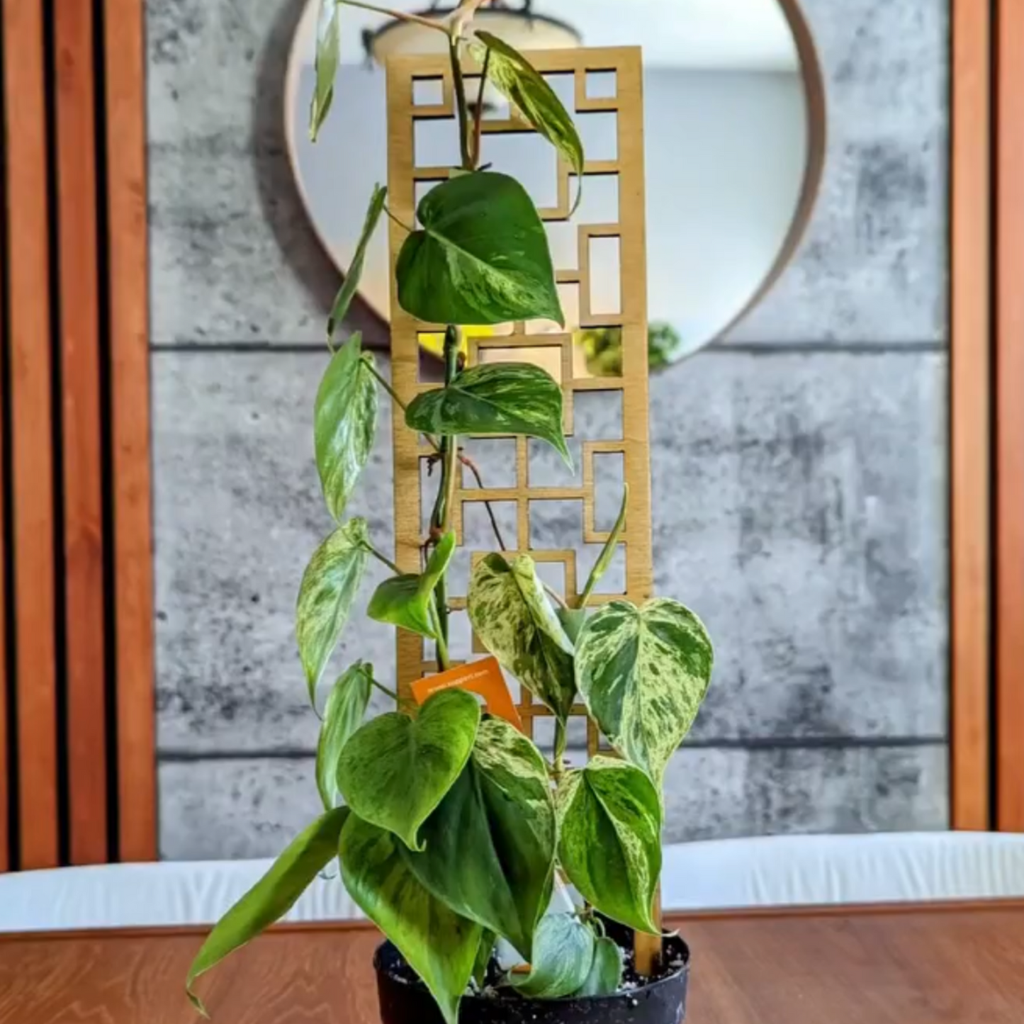 Tropical Squares Wooden Trellis