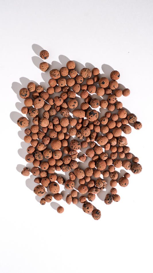 LECA (Clay balls) Standard