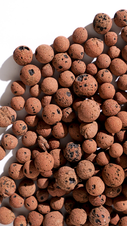 LECA (Clay balls) Standard