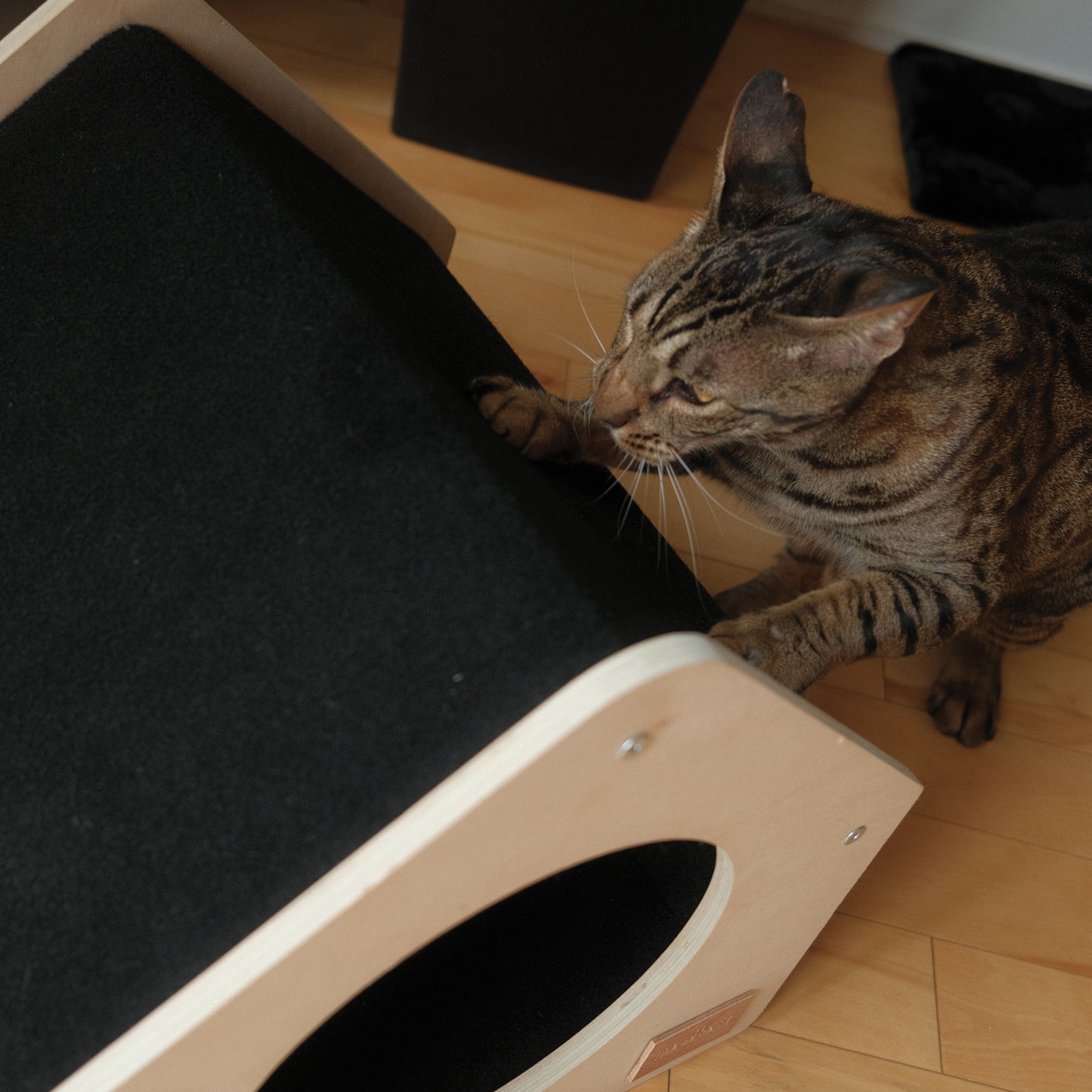 The Urban Condo Pet House