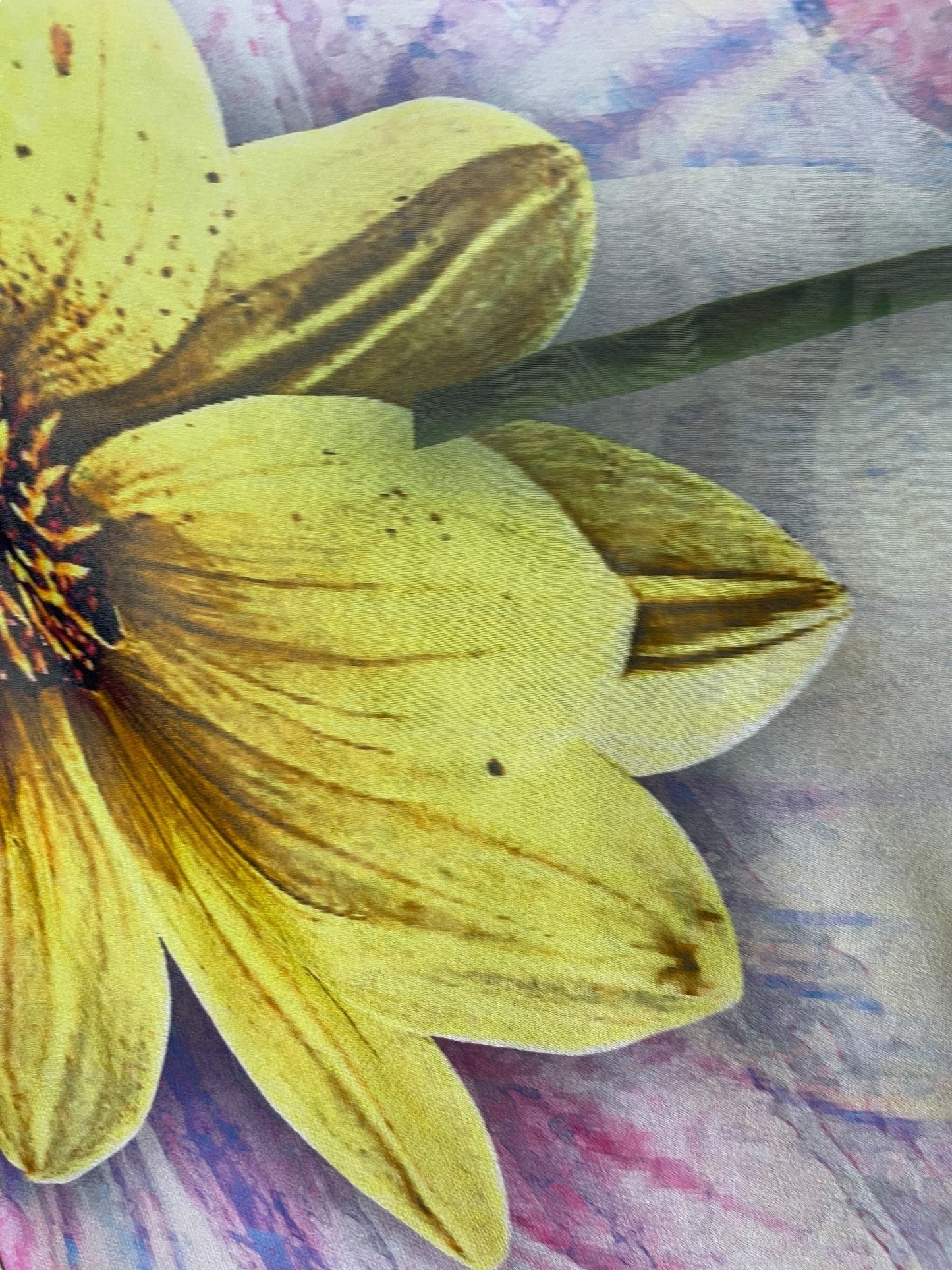 PRG6798 Sheer Avatar Pure Silk Maxi Kaftan