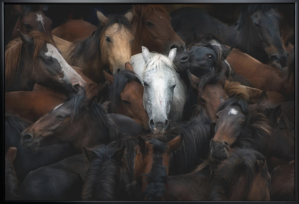 Wall art: The White Horse