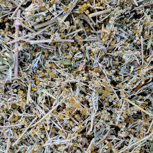 Dried Wormwood