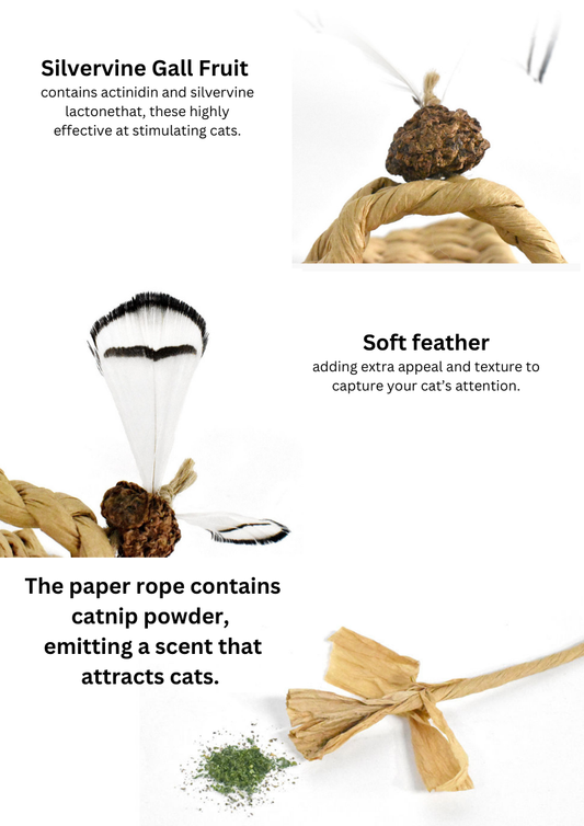 Woven Catnip Slipper