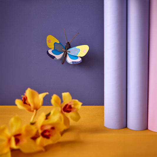 Yellow Monarch Butterfly