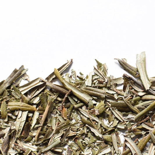 Argousier, feuille