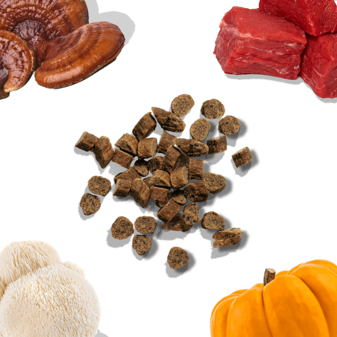 Beef Mini Training Treats
