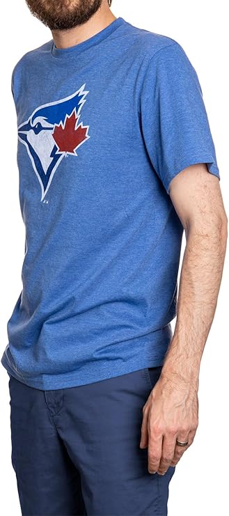 Men's Toronto Blue Jays Birdhead Logo T-Shirt – Heather Royal [Test]