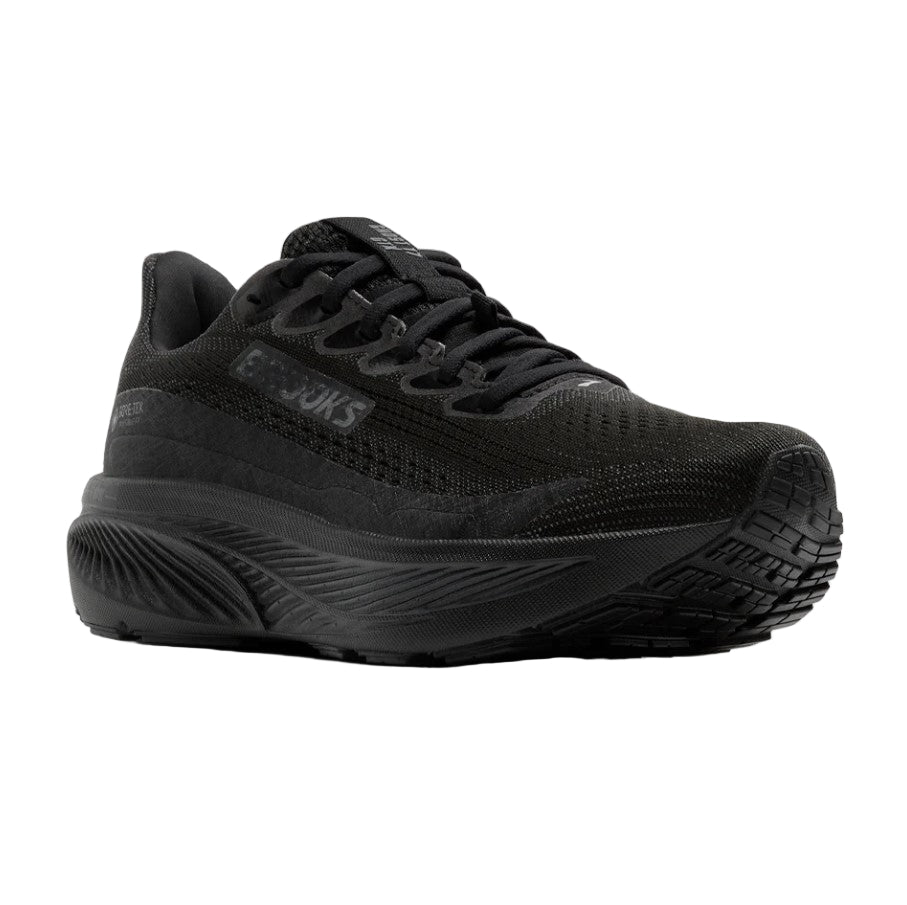 Brooks Ghost 17 GTX - Womens Running Shoe