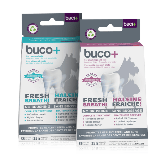 Buco+ 150mg – Soins Dentaires Naturels pour Chiens et Chats +15KG