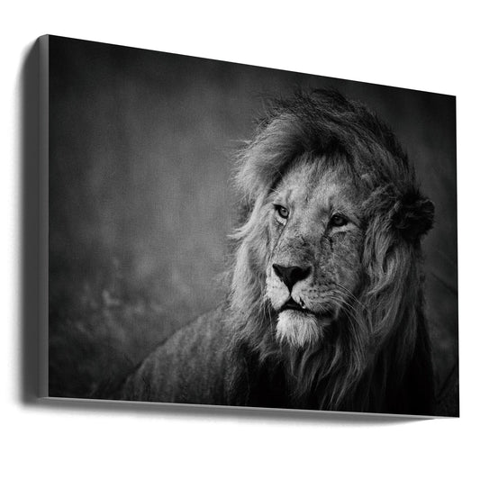 Wall art Regal. Lion