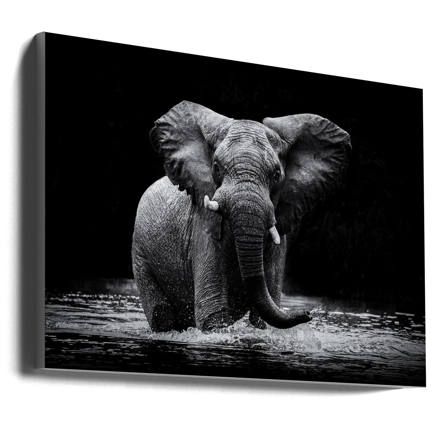 Wall art Power 1. Elephant