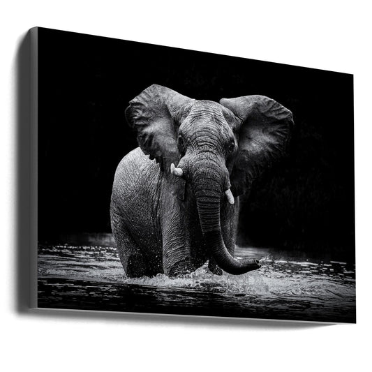 Wall art Power 1. Elephant