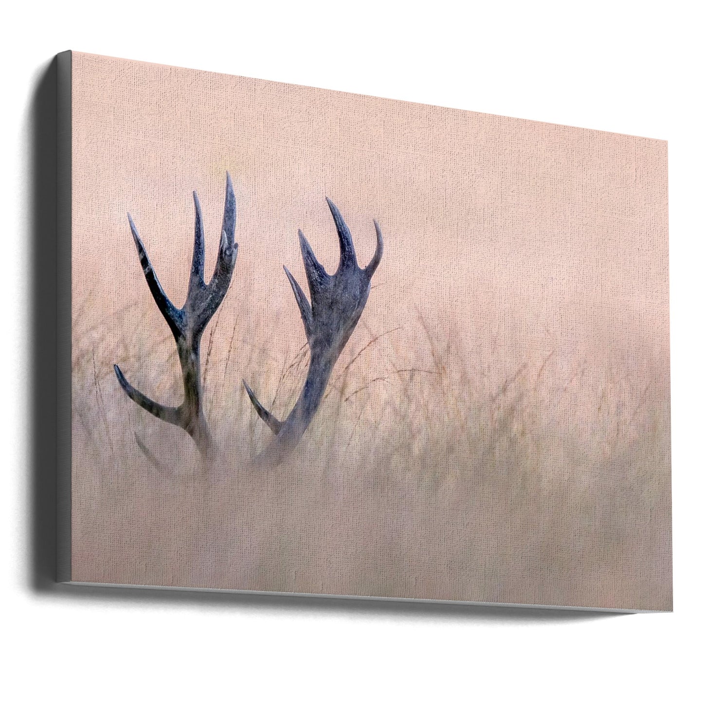 Wall art   Hide & Seek ( Horn of Stag)