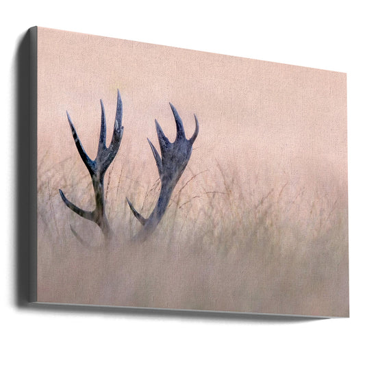 Wall art   Hide & Seek ( Horn of Stag)
