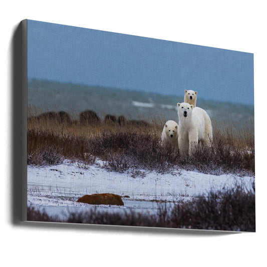 Wall art Mother bear with cubs, Hudson bay in the background