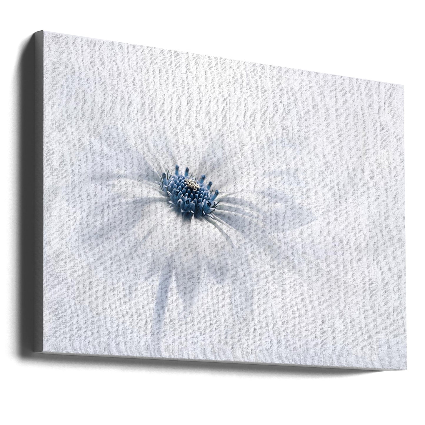 Wall art Serenity. Floral
