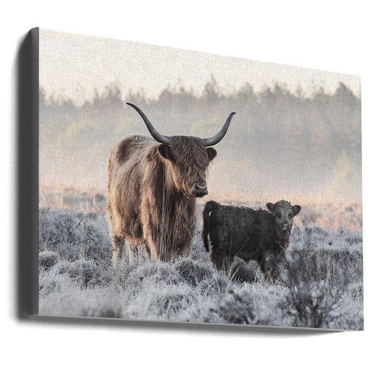 Wall art Highlander and Calf