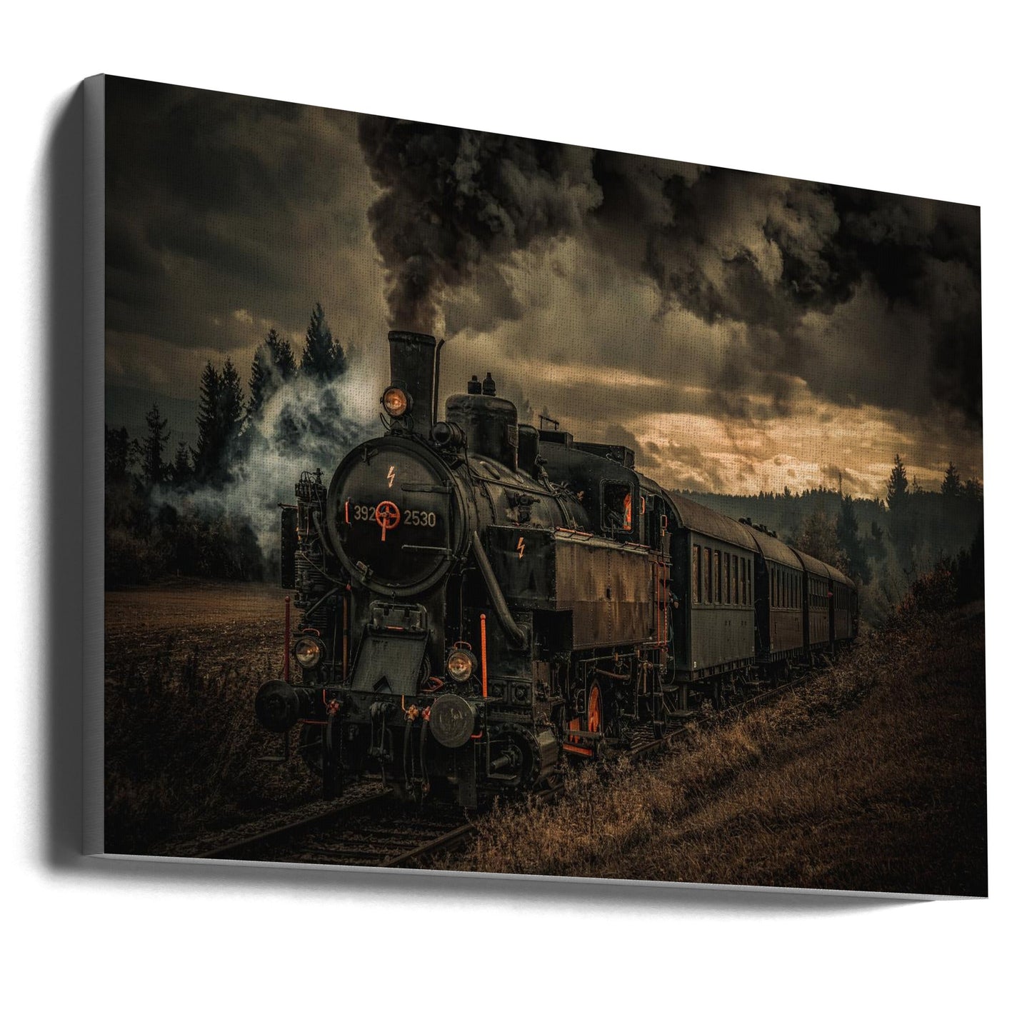 Wall Art Gold digger train