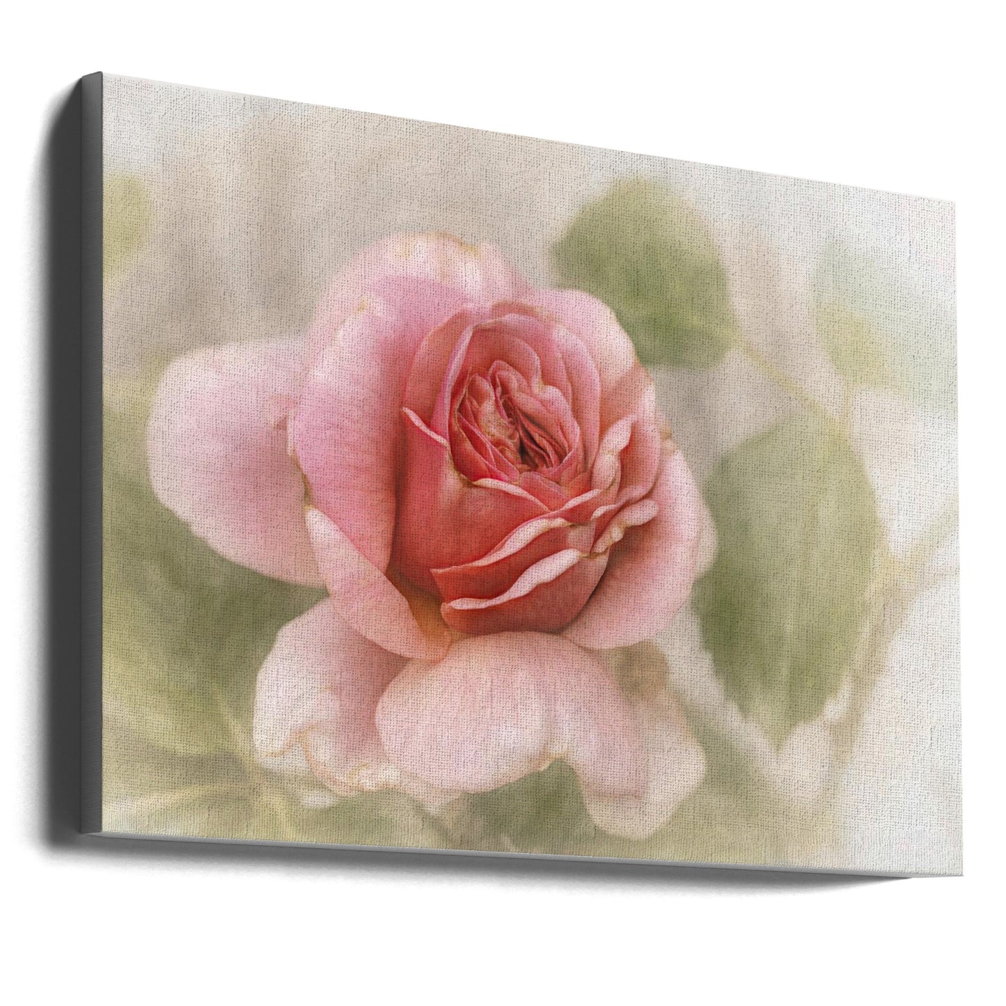 Wall Art smooth rose