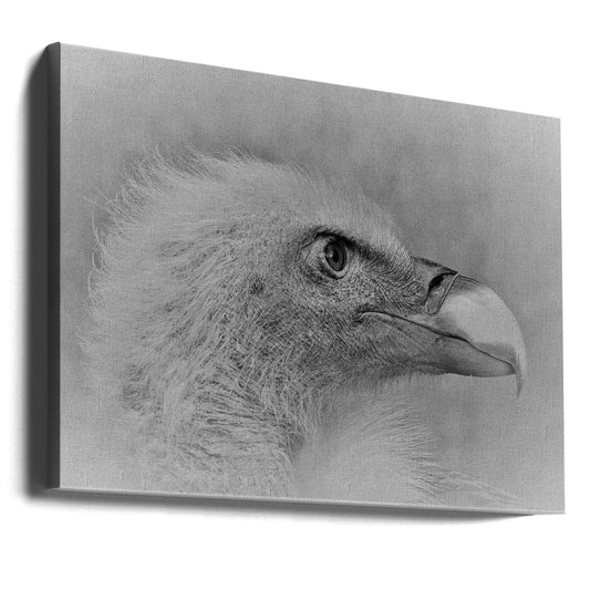 Wall art Bald eagle
