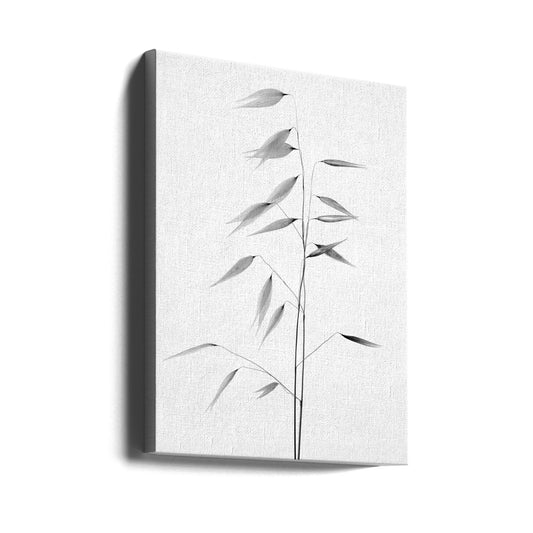 Wall art Sharpness of the nature