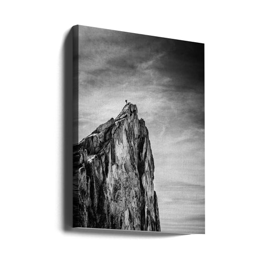 Wall Art Balancing between Earth and Sky