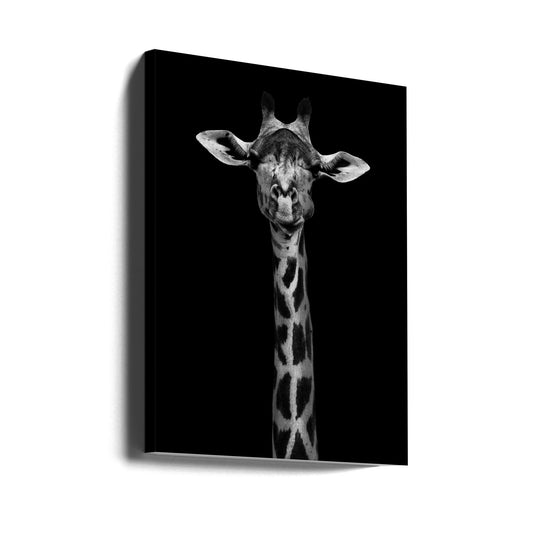 Wall Art Giraffe Portrait