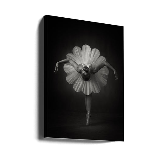 Wall Art Floral Ballet