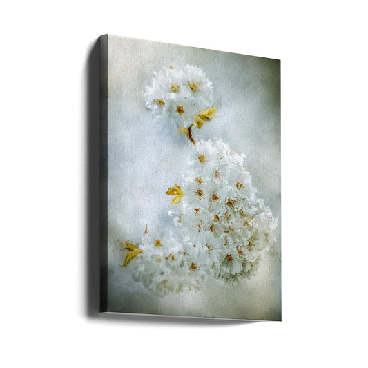Wall Art Cherry blossoms