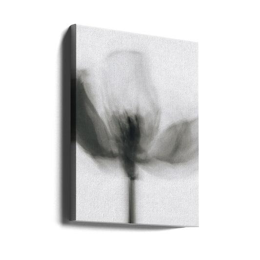 Wall art Mono Tulip