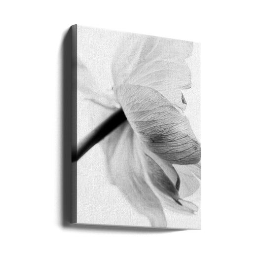 Wall art Blooming Flower Canvas Print