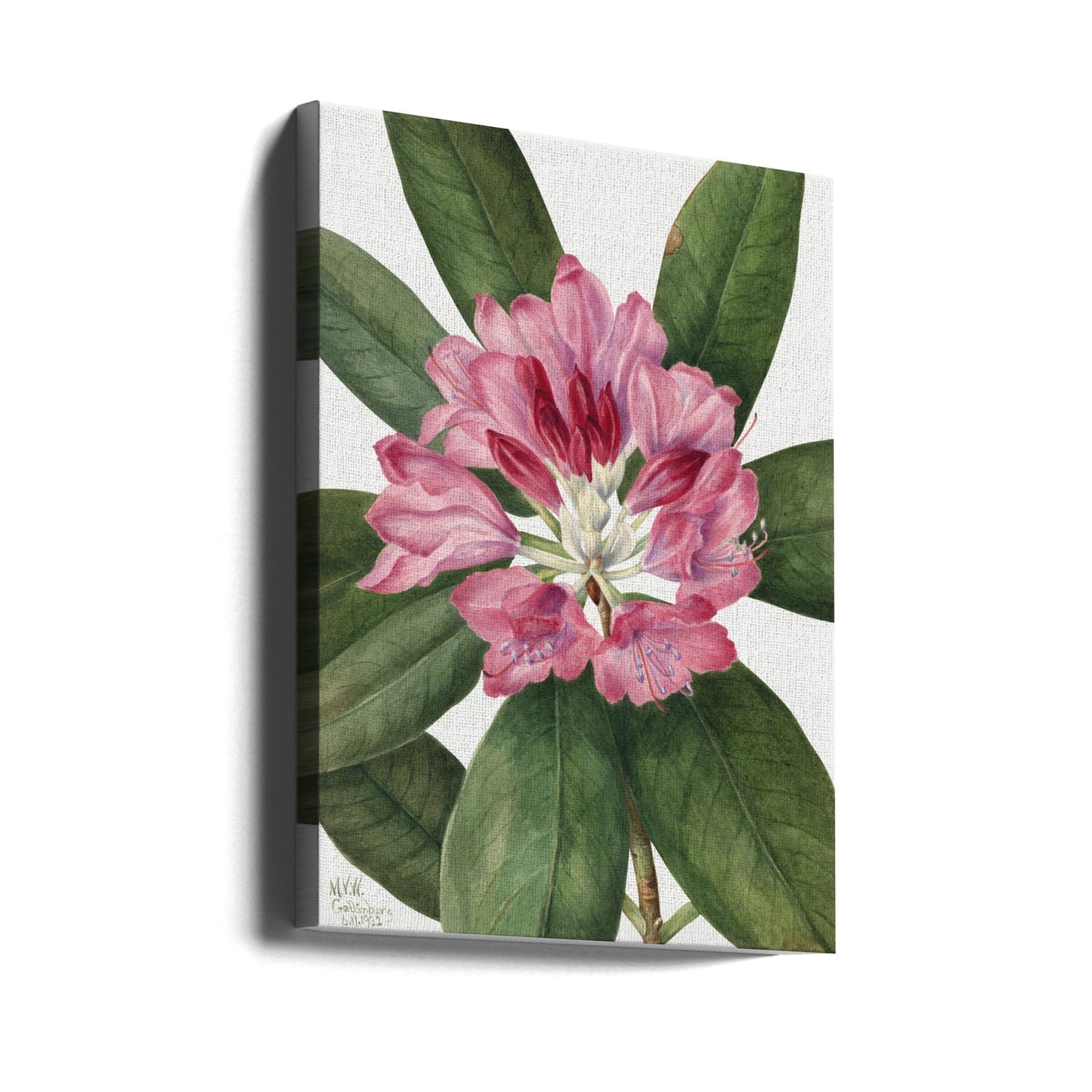 Wall Art Mountain Rose Bay (1932)