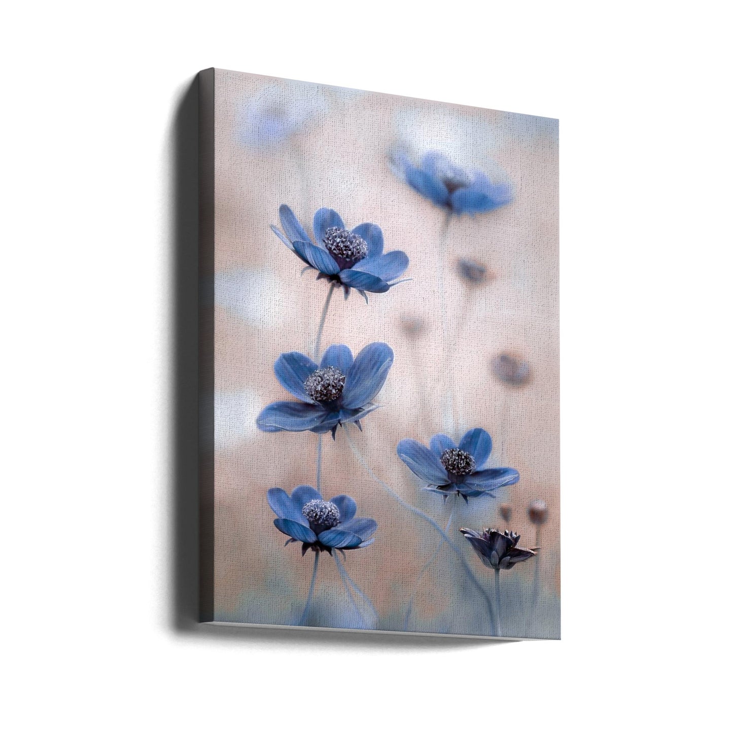 Wall Art Cosmos blue