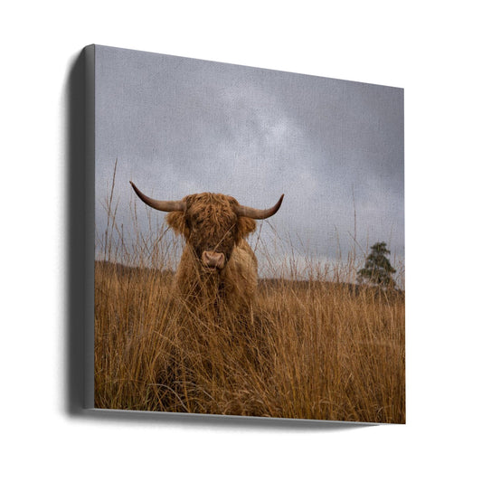 Wall art It wasn't me