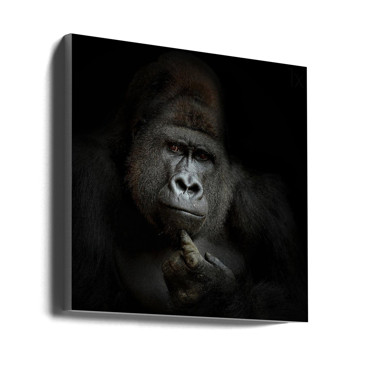 Wall Art ego cogito, ergo sum