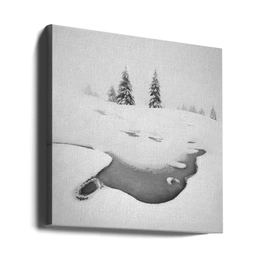 Wall art Frozen swamps