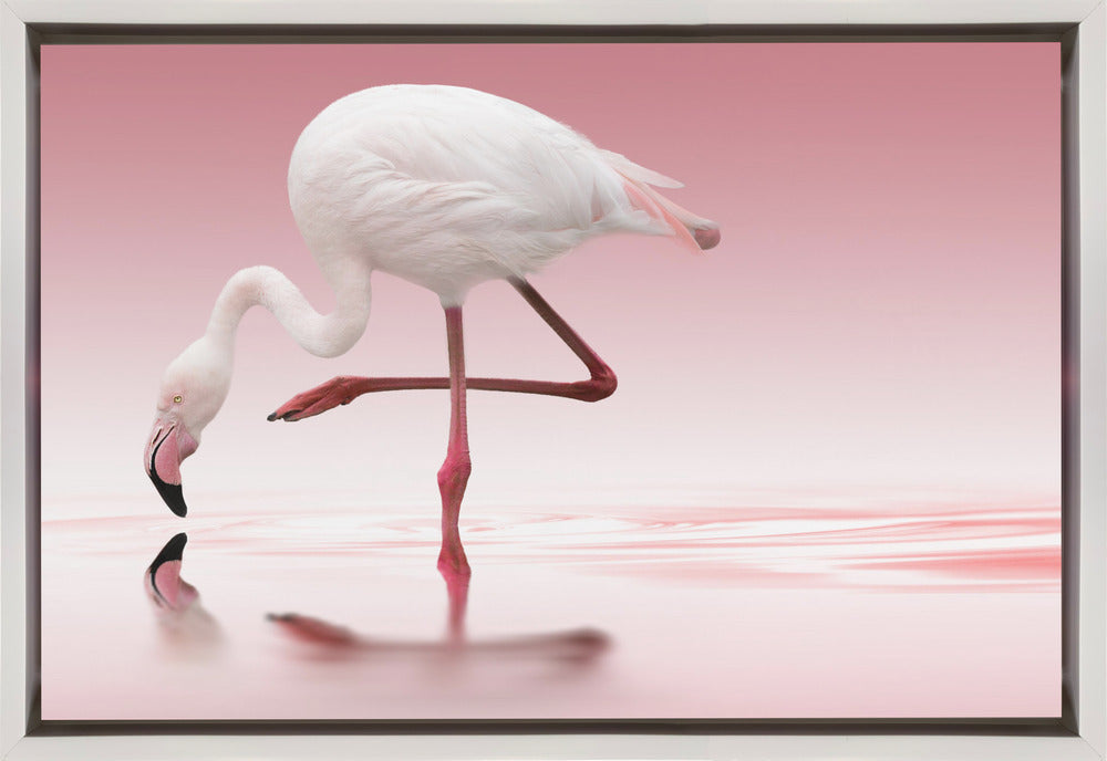 Wall art Flamingo