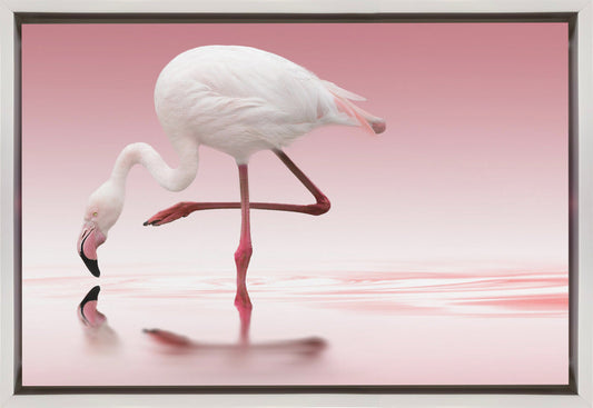 Wall art Flamingo