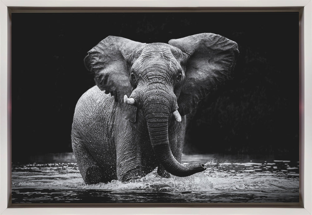 Wall art Power 1. Elephant