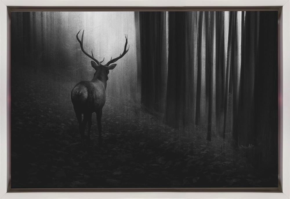 Wall art Stag. Deer