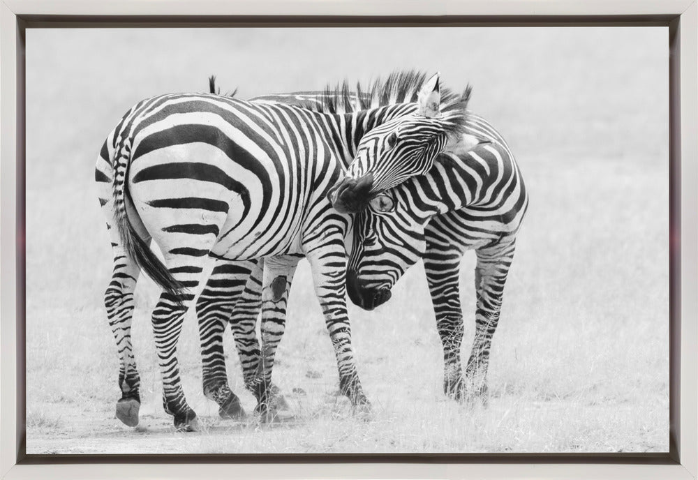 Wall art Tender Moment