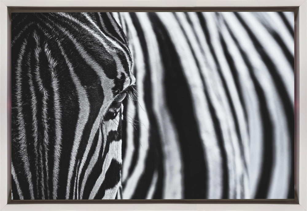 Wall art The look of nature