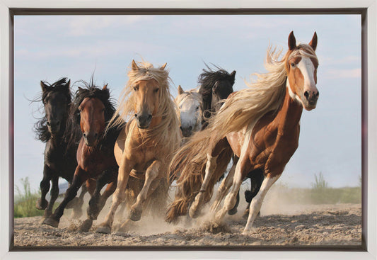 Wall art Lucky Six Horses