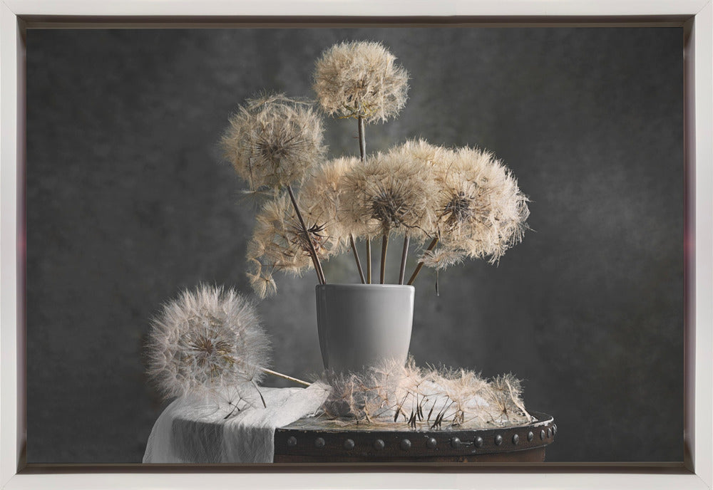Wall Art Dandelion Seed Pod