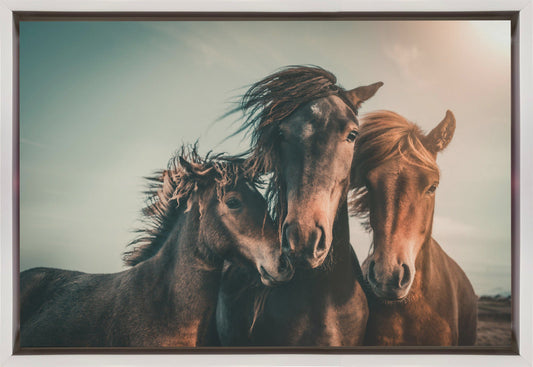 Wall art Family portrait Horses Canvas Print