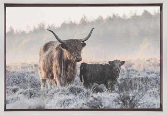 Wall art Highlander and Calf